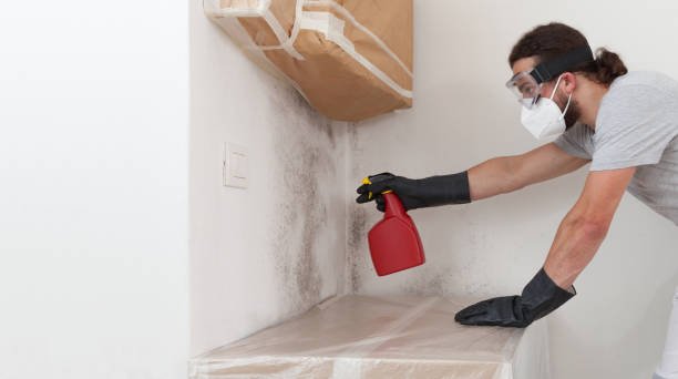 Professional Crawl Space Mold Remediation technician working in Fork, MD